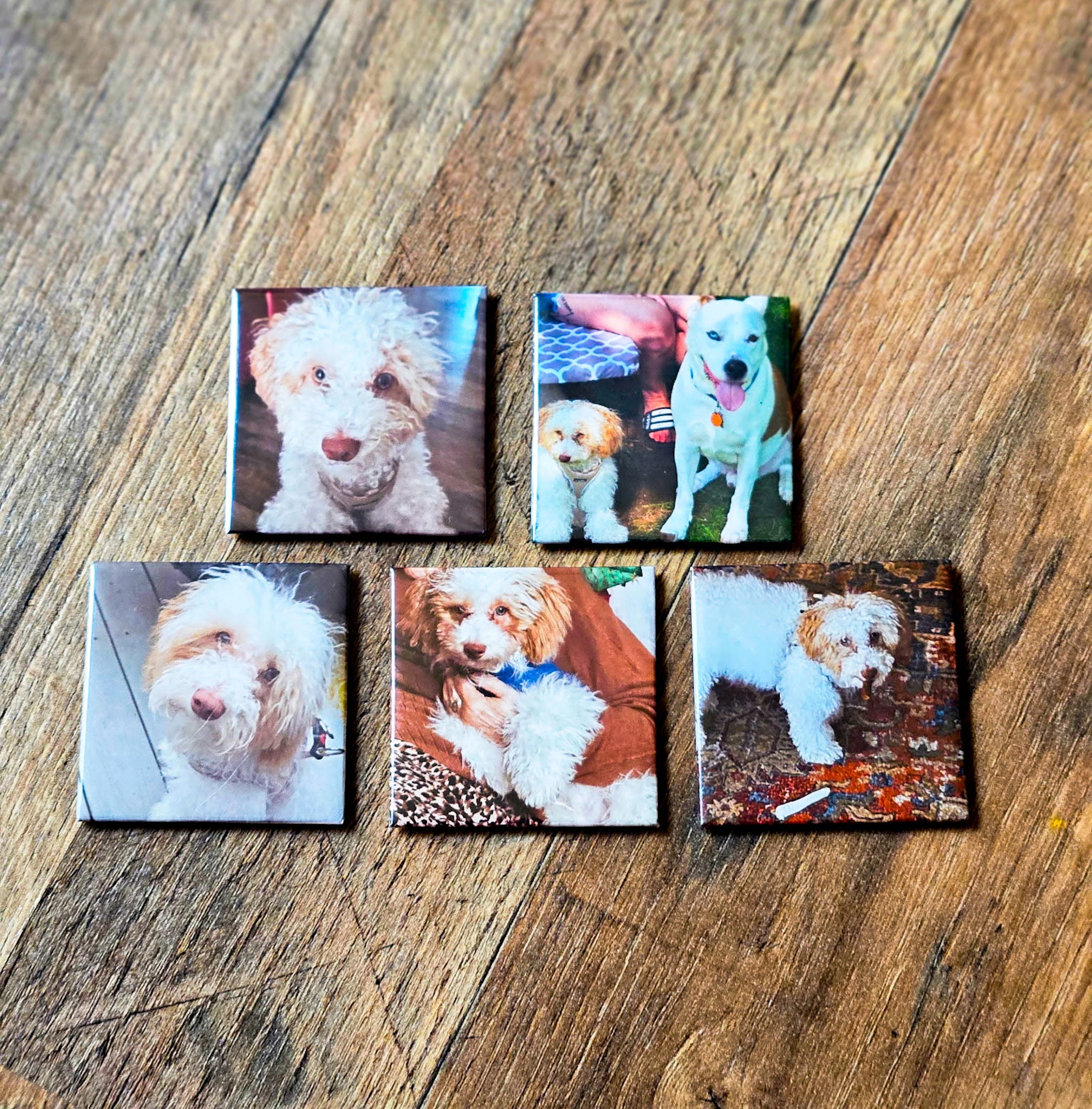 Custom Photo Magnets 2"x2"